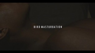 Bird Masturbation 