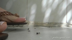 Goddess Grazi Ants Crush sexy Flipflop