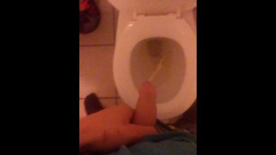 Me Piss in the Toilet