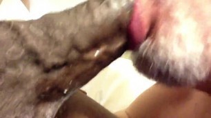Sucking off a Huge Black Daddy Cock