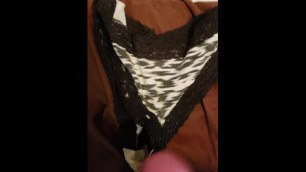 Jerking off on roommates panties because she wont fuck!