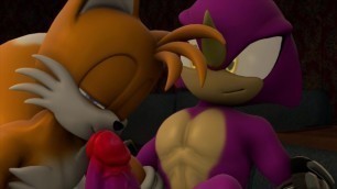 Espio and Tails have some time alone