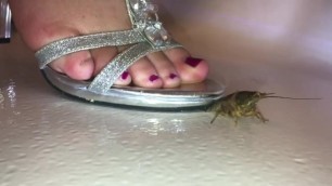 Lady in sandals and crawfish