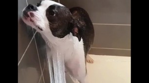 Sad bitch takes a cold shower for you so you can continue jacking off