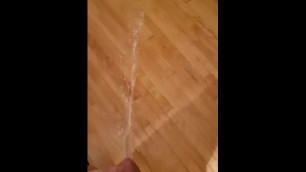 Pissing on the living room floor