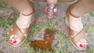 pissing outside in chastity