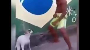 dogs dancing