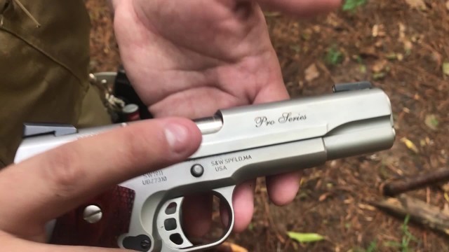 Smith & Wesson Pro Series 1911 chambered in 9mm?
