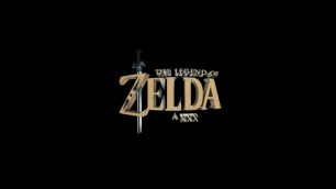 Legends of Zelda XXX Cosplay VR Pussy Pounding